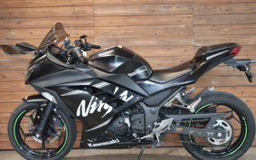 KAWASAKI NINJA 250 EX250L