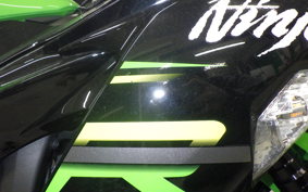 KAWASAKI NINJA ZX-6R A 2019 ZX636G