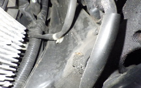 HONDA LEAD 125 JF45