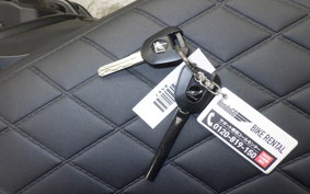 HONDA REBEL 1100 S DCT 2025 SC87