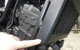 HONDA REBEL 250 A 2023 MC49