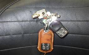 HARLEY FXDL 1580 2009