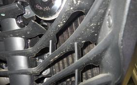 SUZUKI ｼﾞｸｻｰ250SF 2007 ED22Y