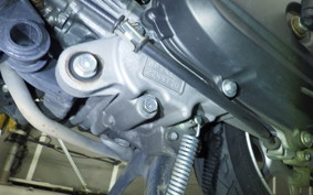 HONDA TACT Basket 2026 AF79
