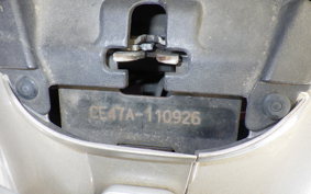 SUZUKI ADDRESS 110 CE47A