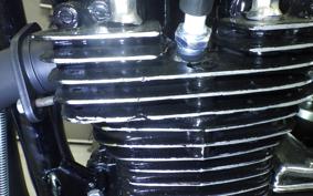 KAWASAKI Z900 2026 Z1F