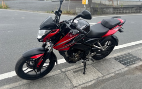 KAWASAKI  PULSAR 200NS A36FZ2