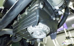 HONDA VTR 250 Gen. 2 1992 MC33