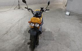 HONDA ZUMAR AF58