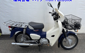 OTHER C110-3