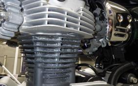 KAWASAKI W800 2019 EJ800B