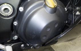 KAWASAKI ZZ1400 NINJA R A 2010