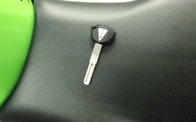 KAWASAKI ZX-4RR 2023 ZX400P