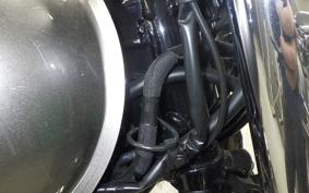 KAWASAKI W800 2024 EJ800E