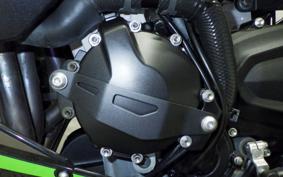 KAWASAKI NINJA ZX-6R A 2024 ZX636J