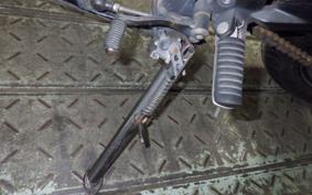 KAWASAKI NINJA 250R 2025 EX250K
