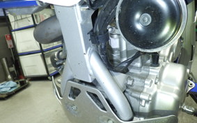 YAMAHA WR250R 2023 DG15J