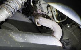 HONDA FUSION X 2021 MF02