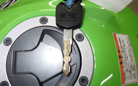 KAWASAKI NINJA 250 SL 2001 BX250A