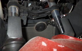 KAWASAKI NINJA 250 EX250L