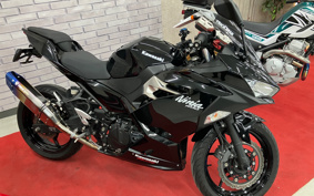 KAWASAKI NINJA 400 2021 EX400G