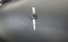 YAMAHA DRAGSTAR 250 VG02J