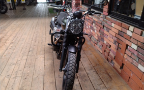 TRIUMPH SCRAMBLER 2024 DAD78G