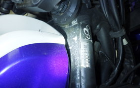 YAMAHA YZF-R25 2001 RG10J