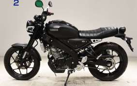 YAMAHA XSR155