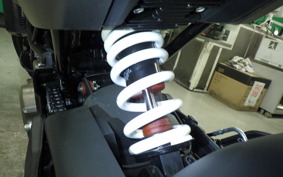 HUSQVARNA SVARTPILEN 401 2025