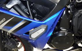 KAWASAKI NINJA 650 A 2019 ER650H
