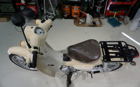 HONDA C110 SUPER CUB 2024 JA59