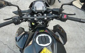 KAWASAKI Z250 EX250P