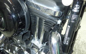 HARLEY XL1200XS 2019