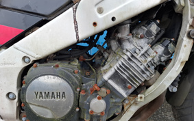 YAMAHA FZR1000 1988 0051