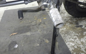 YAMAHA TRICKER DG10J