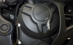 YAMAHA YZF-R25 1977 RG43J