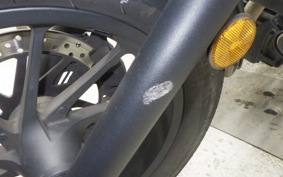 HONDA REBEL 250 2001 MC49