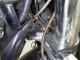 Фото Yamaha DRAGSTAR 1100 2002 с японского аукциона
