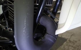 SUZUKI TS185 2024