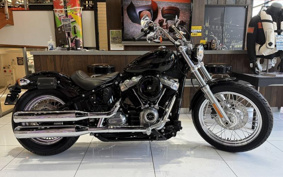HARLEY FXST1340-1450 2020 BVJ