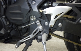 KAWASAKI NINJA 250 2018 EX250P