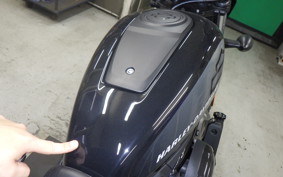 HARLEY RH975 2022