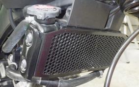 YAMAHA XSR155
