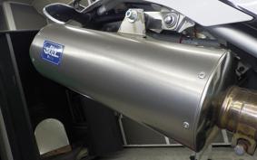 YAMAHA WR250R