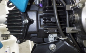 KAWASAKI Z125 PRO 2022 BR125H