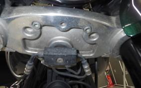 HARLEY FLSB 1750 2021