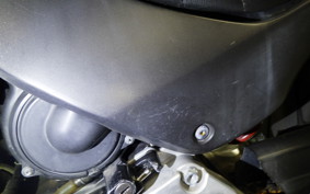 HONDA HORNET 250 2010 MC31