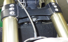 TRIUMPH SPEED TRIPLE 2008