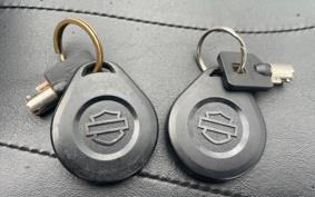 HARLEY HARLEYFLTRXS 2016 KTM